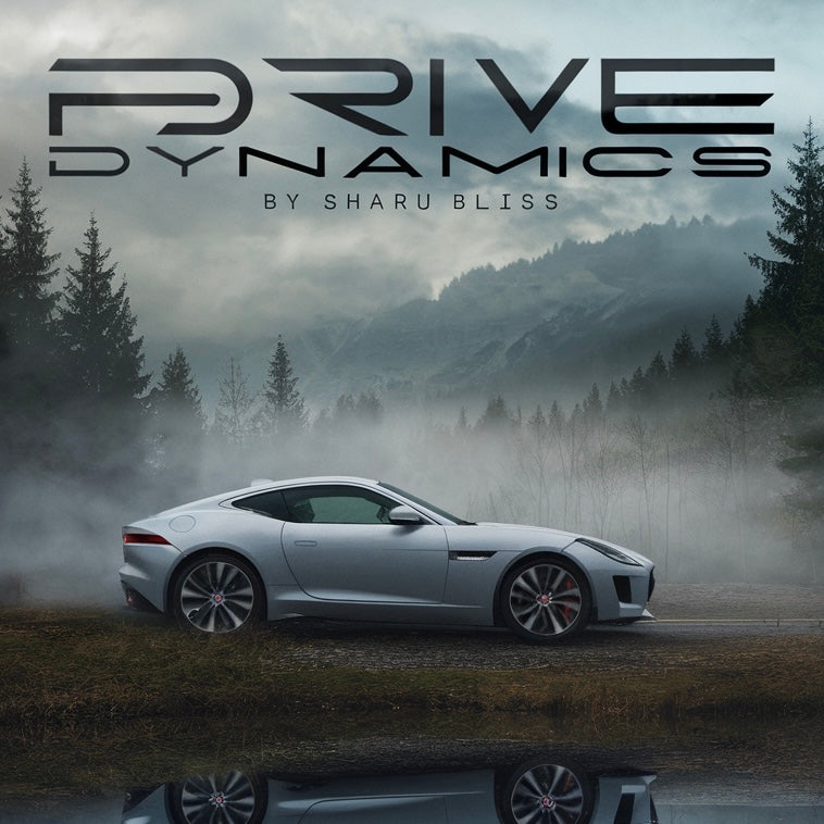 Drive Dynamics