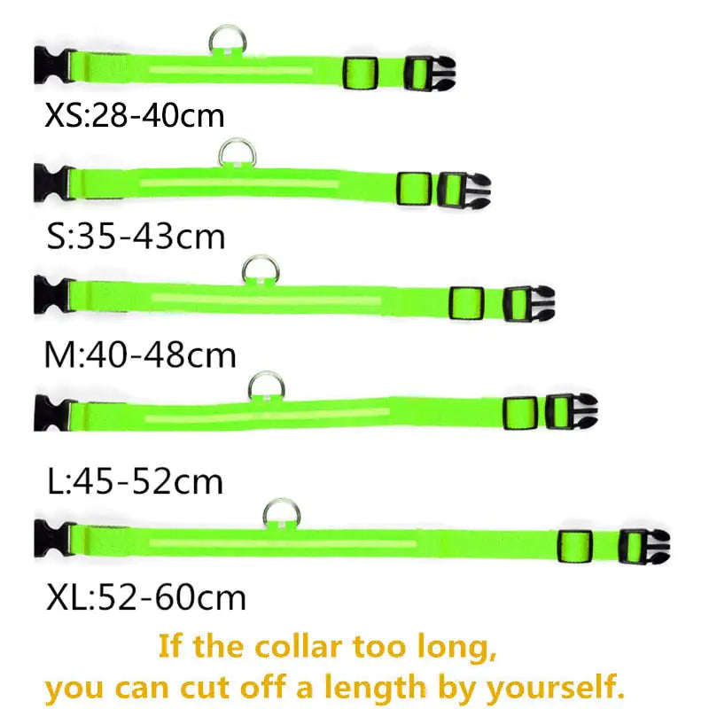 Sharu Bliss LED Dog Collar - Keep Your Furry Friend Safe and Visible