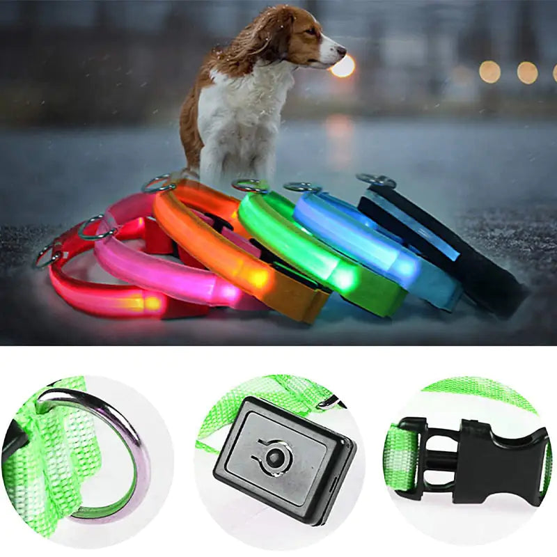 Sharu Bliss LED Dog Collar - Keep Your Furry Friend Safe and Visible