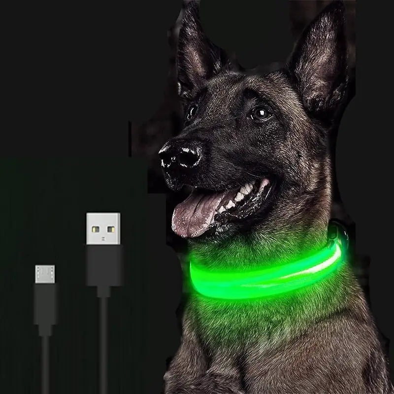 Sharu Bliss LED Dog Collar - Keep Your Furry Friend Safe and Visible