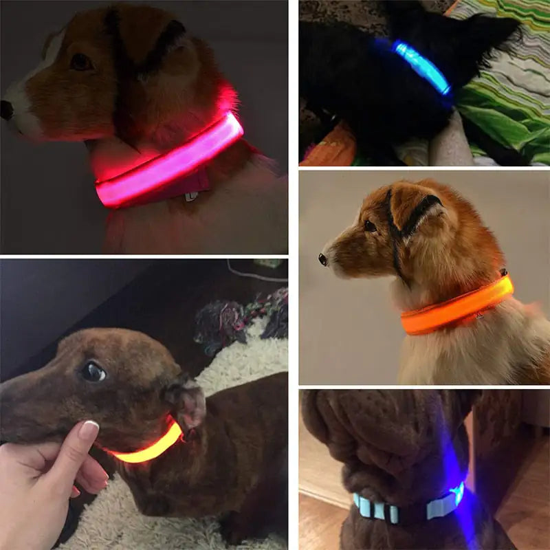 Sharu Bliss LED Dog Collar - Keep Your Furry Friend Safe and Visible