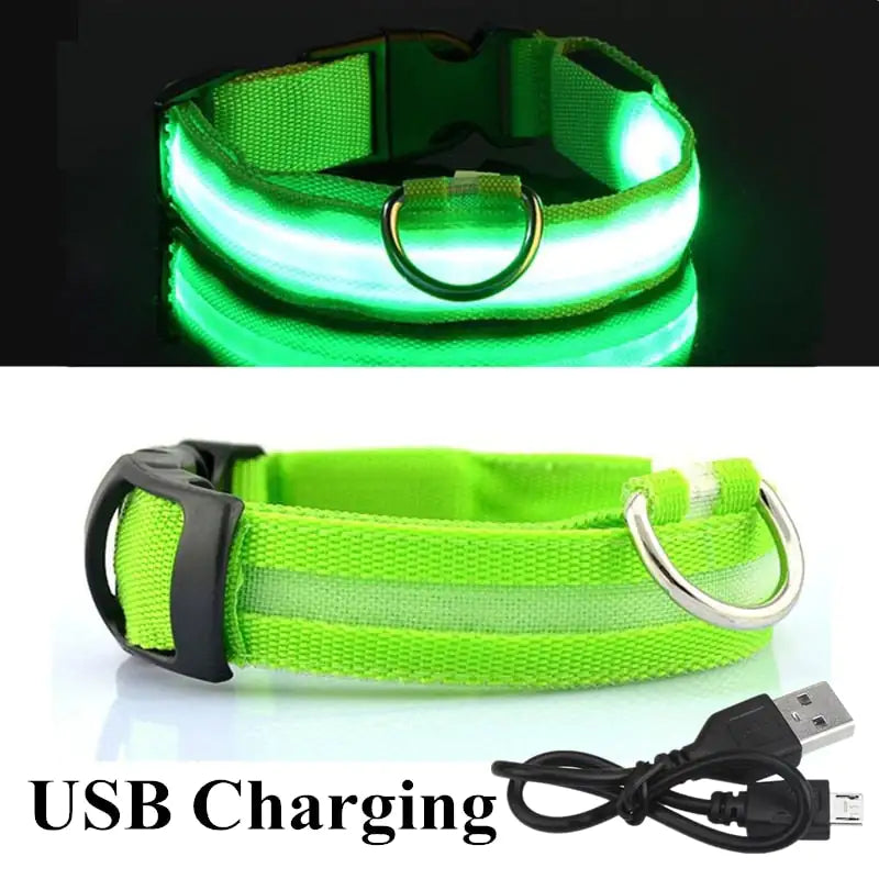 Sharu Bliss LED Dog Collar - Keep Your Furry Friend Safe and Visible