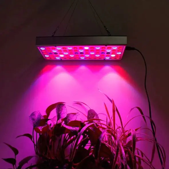 High-Efficiency LED Grow Light for Seedlings in Greenhouses