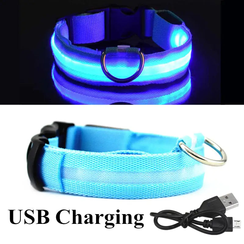 Sharu Bliss LED Dog Collar - Keep Your Furry Friend Safe and Visible